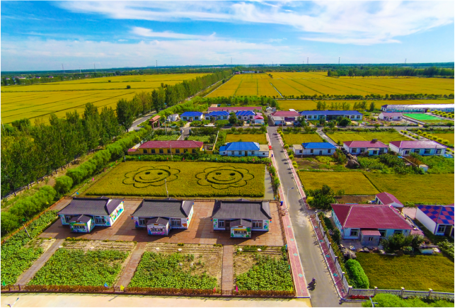 必读！乡村振兴先进村发展的10条共同经验